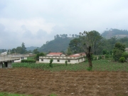 DSCN2597