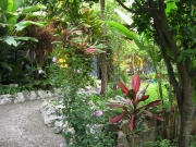 DSCN2635