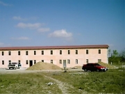 MT007